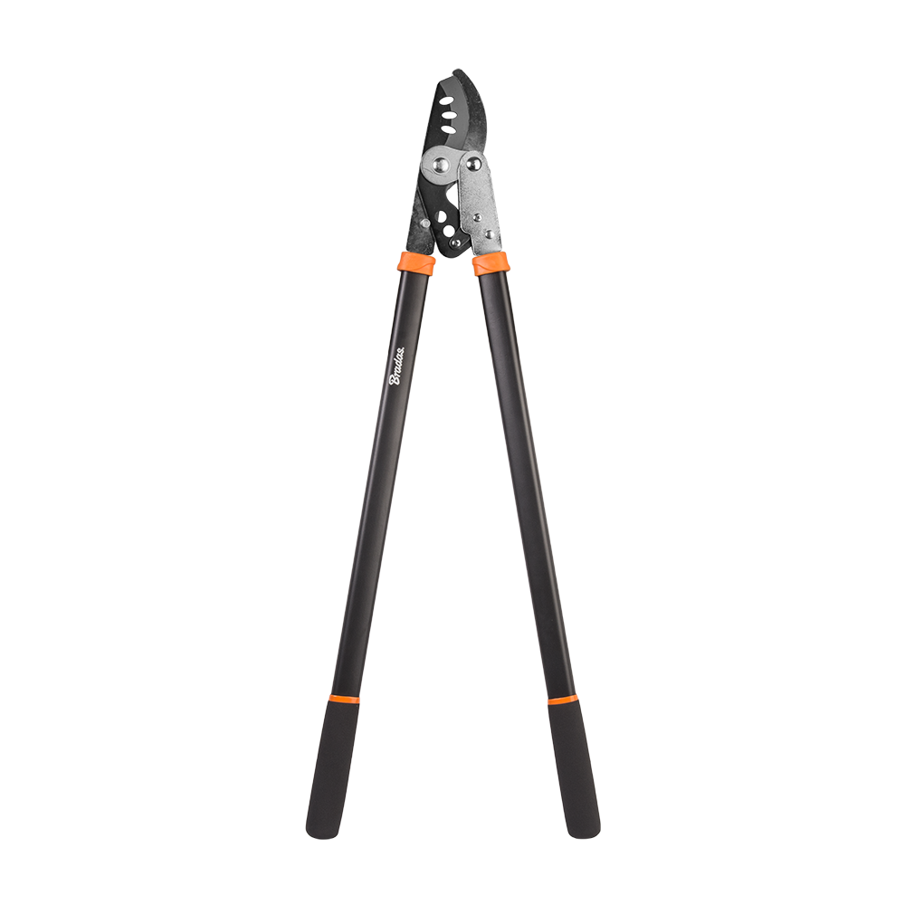 Nožnice na konáre s rohatkou KT-V1220 Bradas rukoväť 60cm