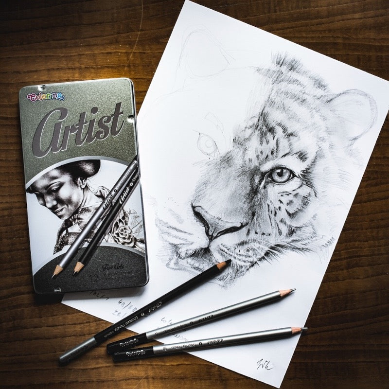 Colorino Artist súprava grafitových ceruziek a uhlov